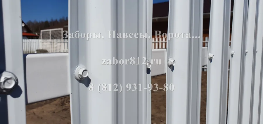 Ленинградская область. Евроштакетник белый