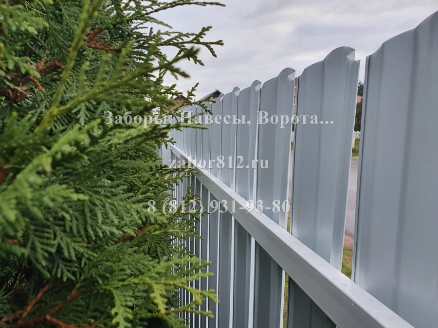 Забор из белого евроштакетника. Ворота и калитка. Поселок им. Морозова.